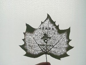 logo系列葉雕