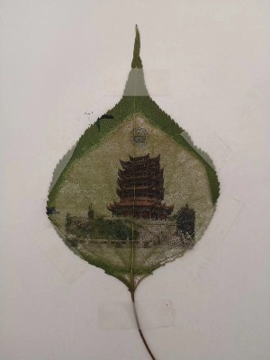 彩色葉雕系列