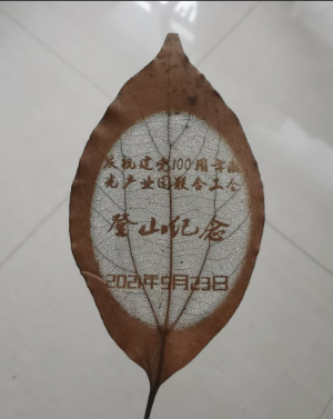 工會登山紀(jì)念書簽